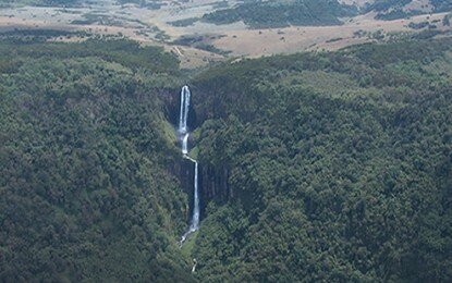 Aberdare National Park