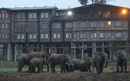 Treetops Lodge Hotel Nyeri