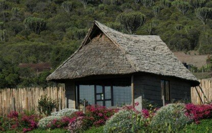 Rhino Watch Safari Lodge -Hotels in Nyeri